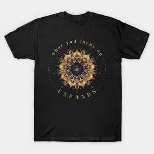 Manifestation Tips Law of Attraction Quote Spiritual Alignment LOA Principles T-Shirt